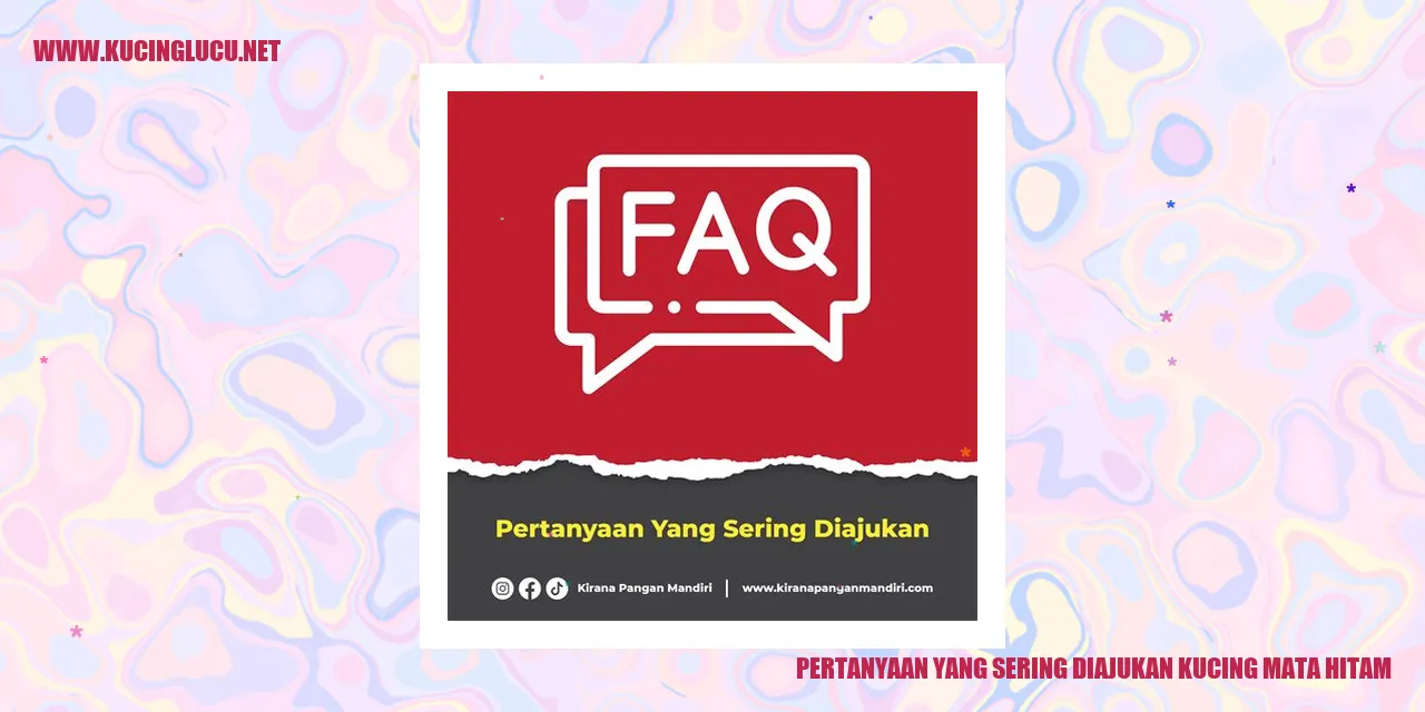 Ilustrasi kucing mata hitam