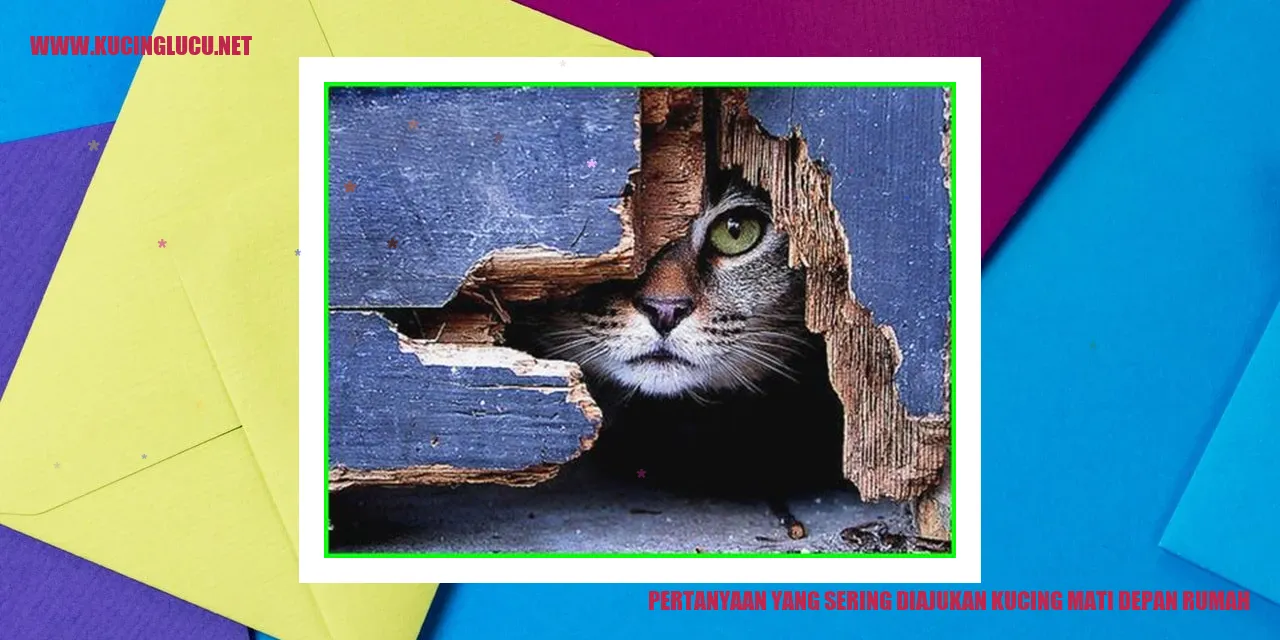 Ilustrasi Kucing Mati di Depan Rumah