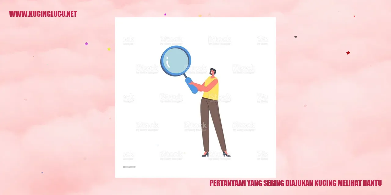 Kucing Melihat Hantu