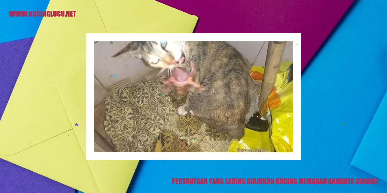 Kucing Memakan Anaknya Sendiri