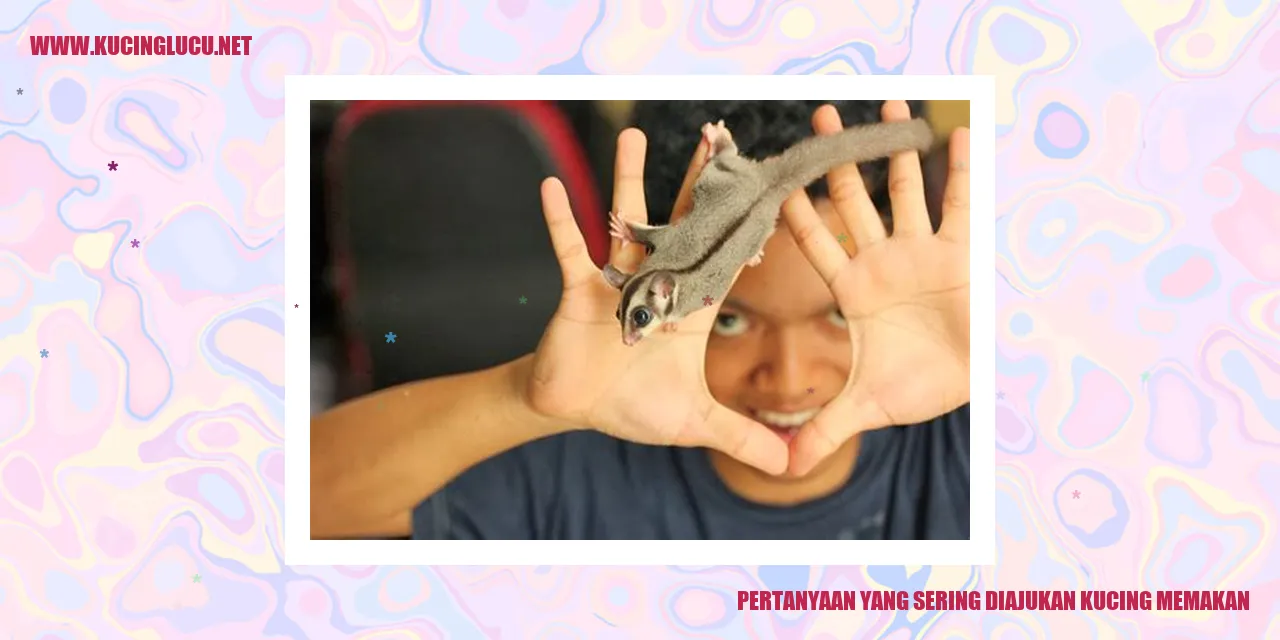 Gambar Kucing Sedang Makan