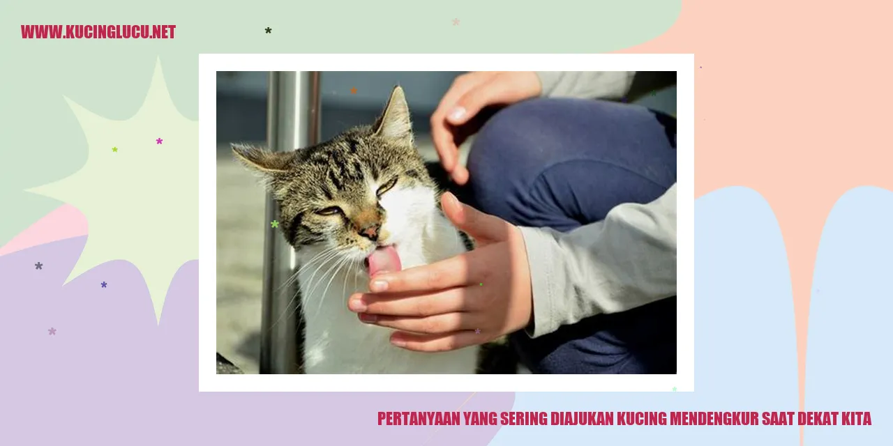 Kucing mendengkur