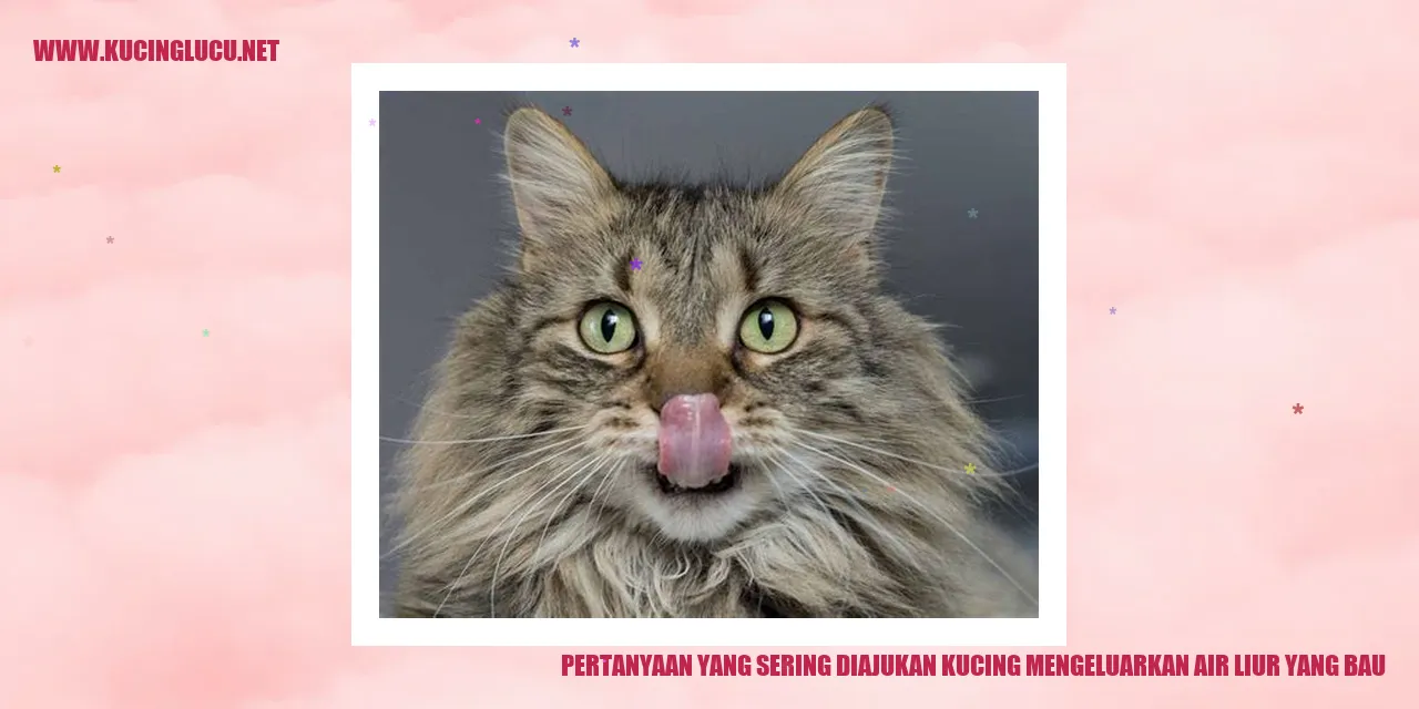 Gambar kucing mengeluarkan air liur yang bau