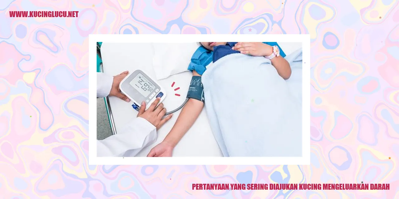 Kucing mengeluarkan darah