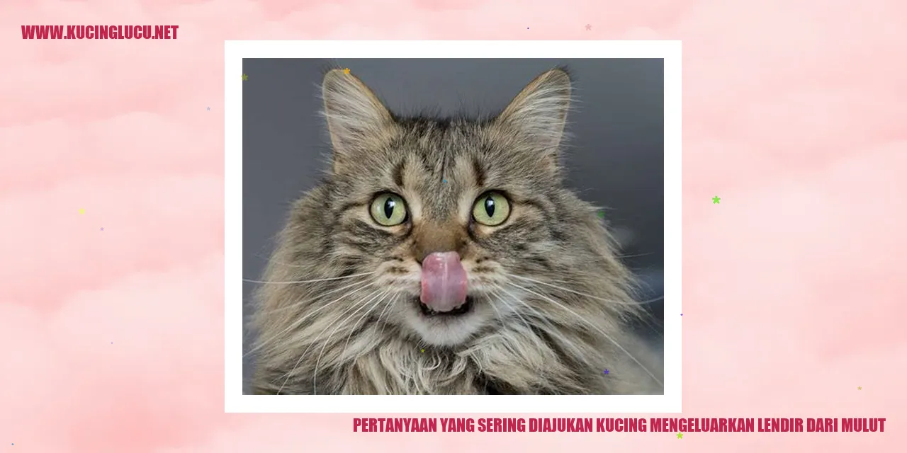 kucing mengeluarkan lendir