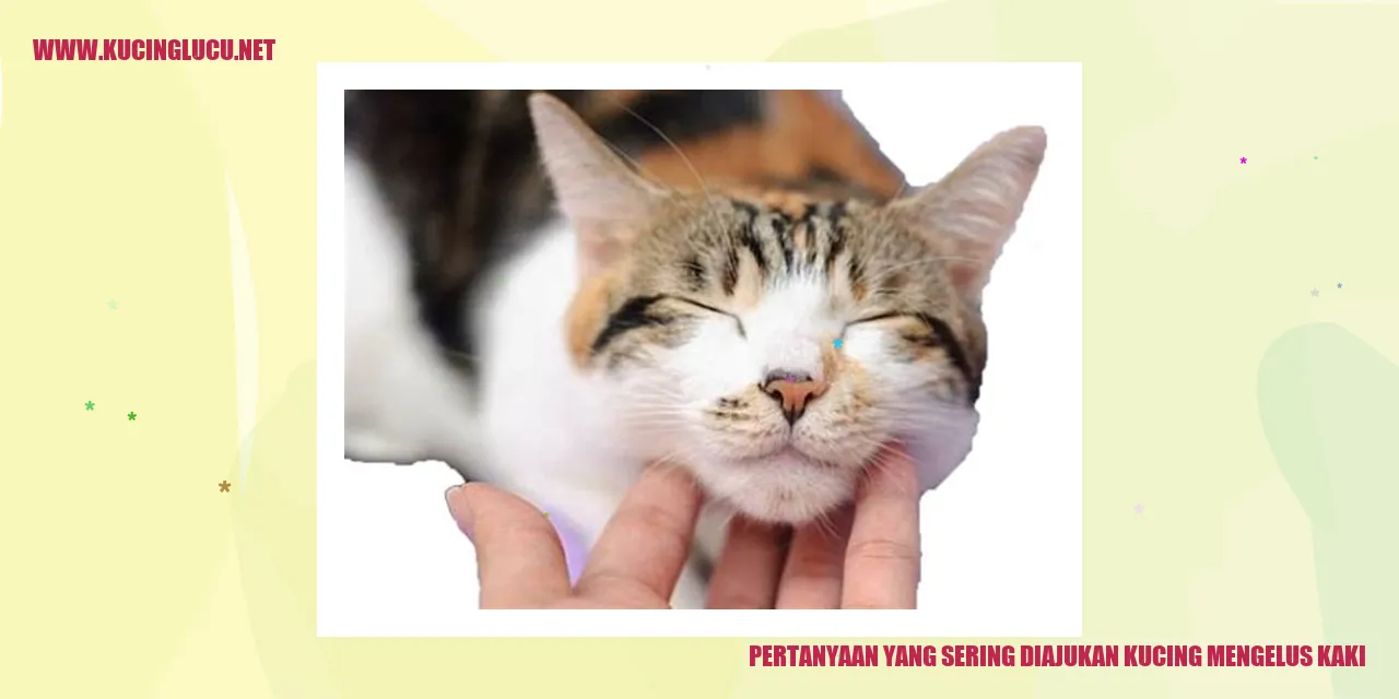 Kucing Malas