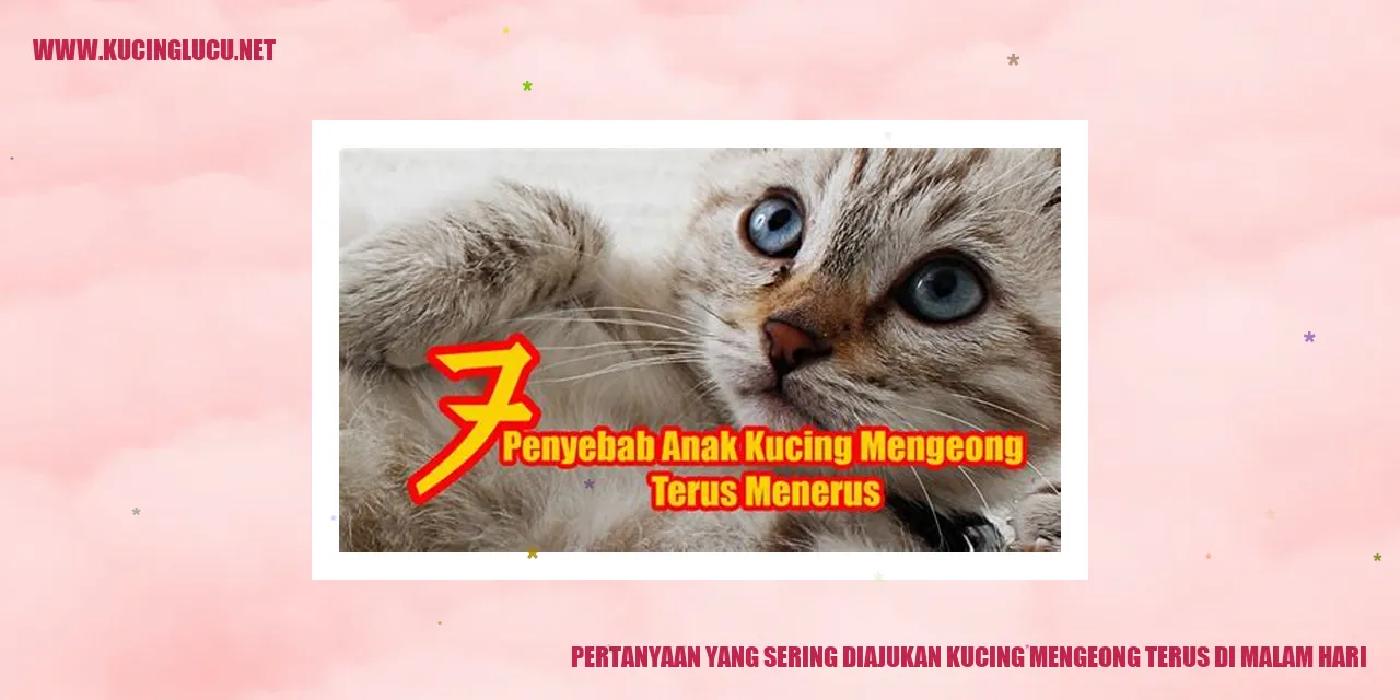 Kucing Mengeong di Malam Hari