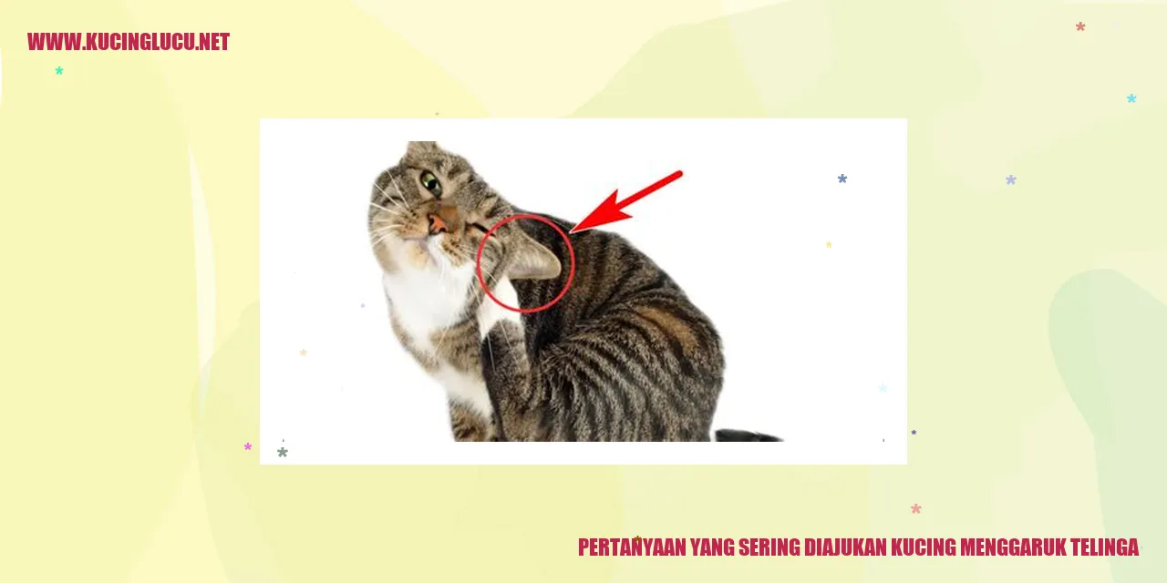 Kucing menggaruk telinga