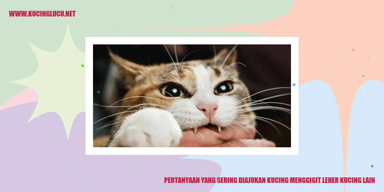 Mengapa Kucing Suka Menggigit Leher Kucing Lain?