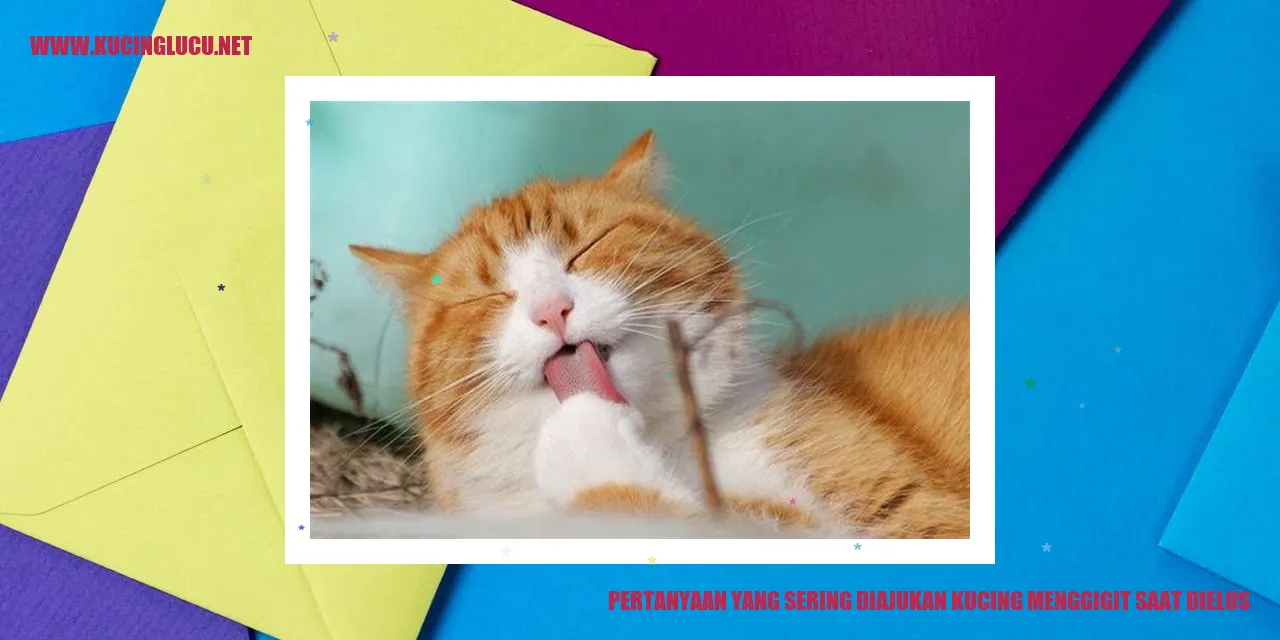 Kucing Menggigit saat Dielus