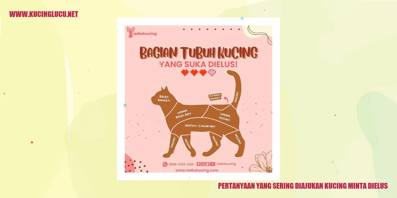 Kucing Meminta Dielus