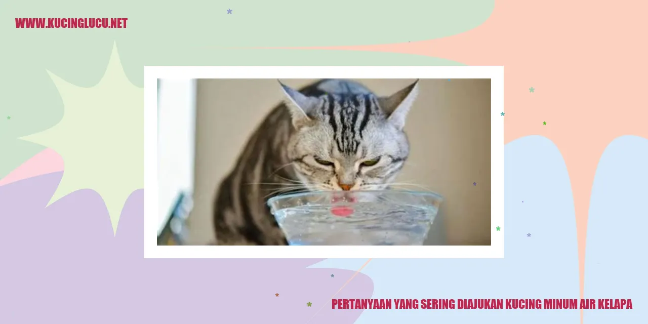 Kucing yang minum air kelapa