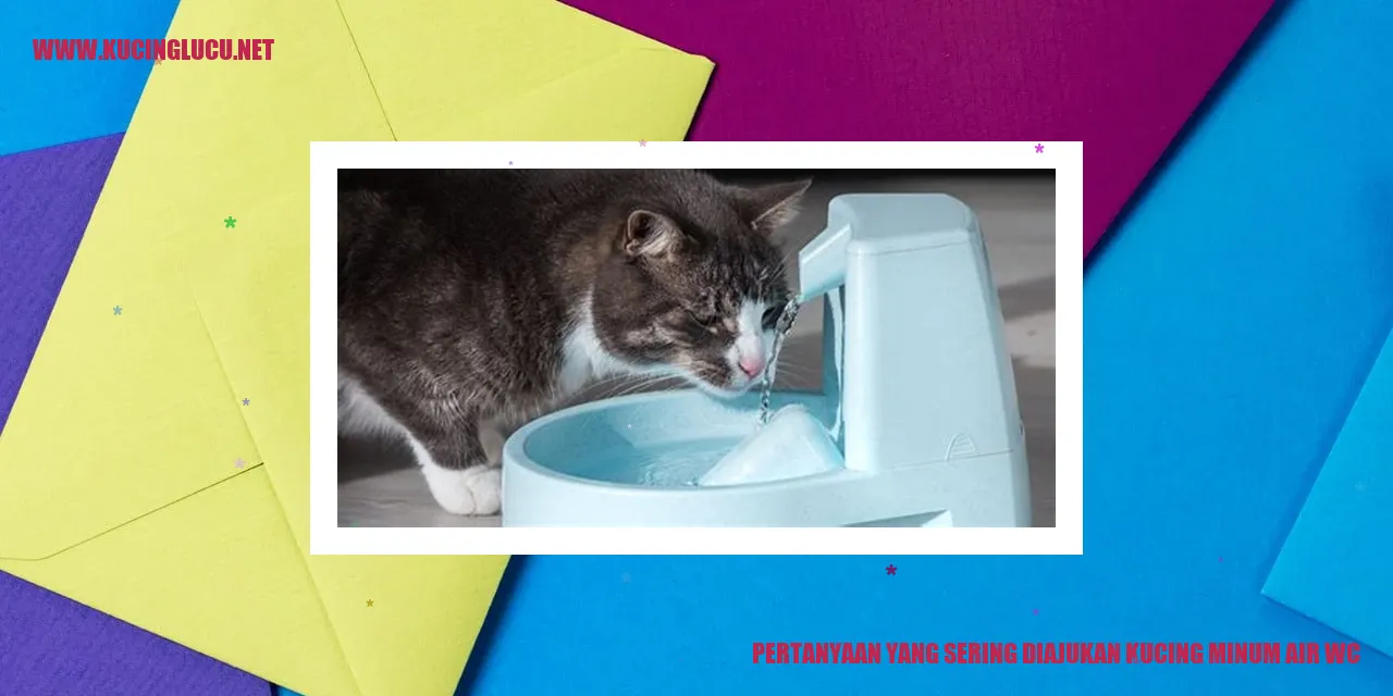 Kucing minum air wc