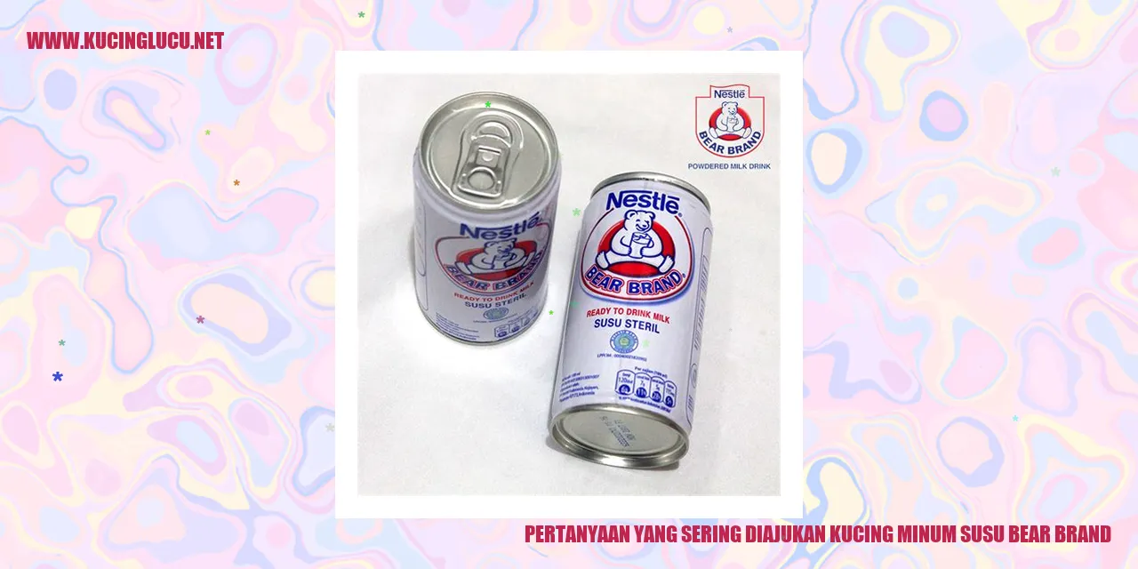 kucing minum susu Bear Brand