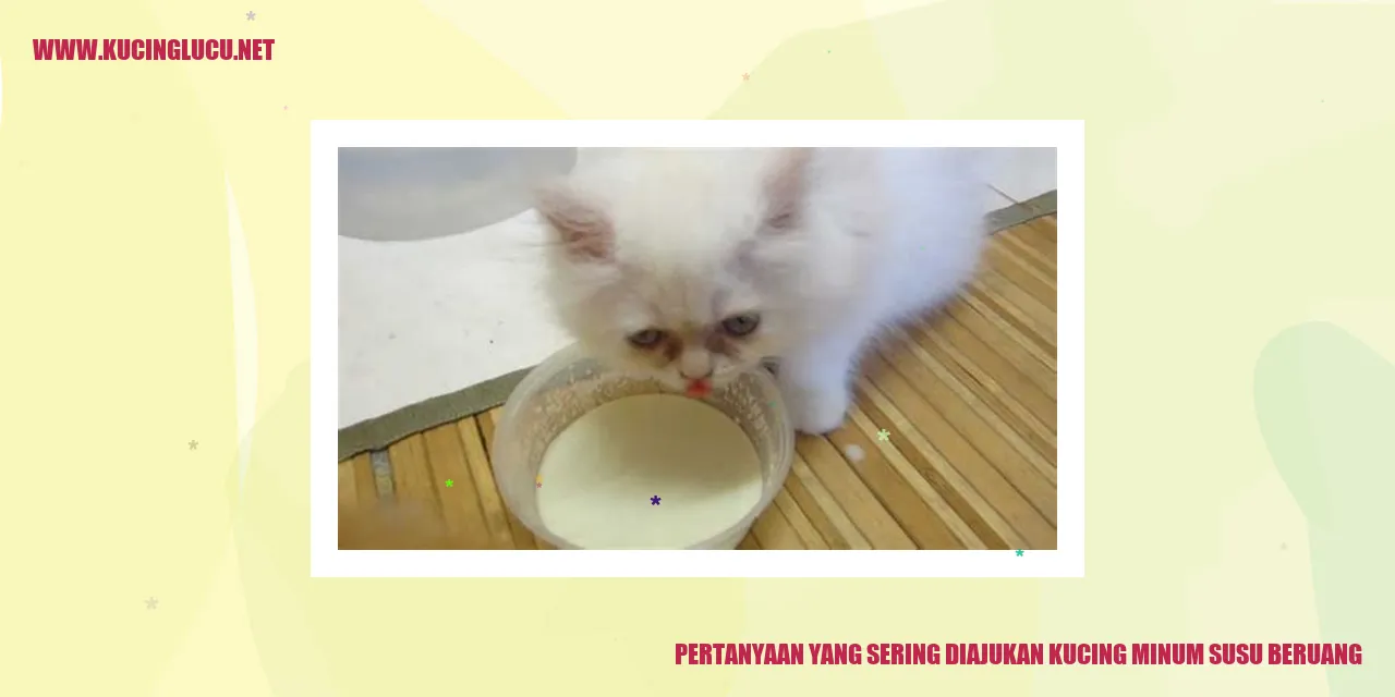 Gambar Kucing Minum Susu Beruang