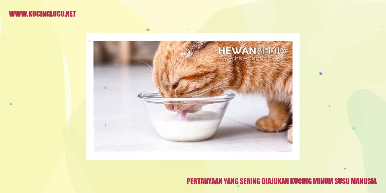 Kucing minum susu manusia