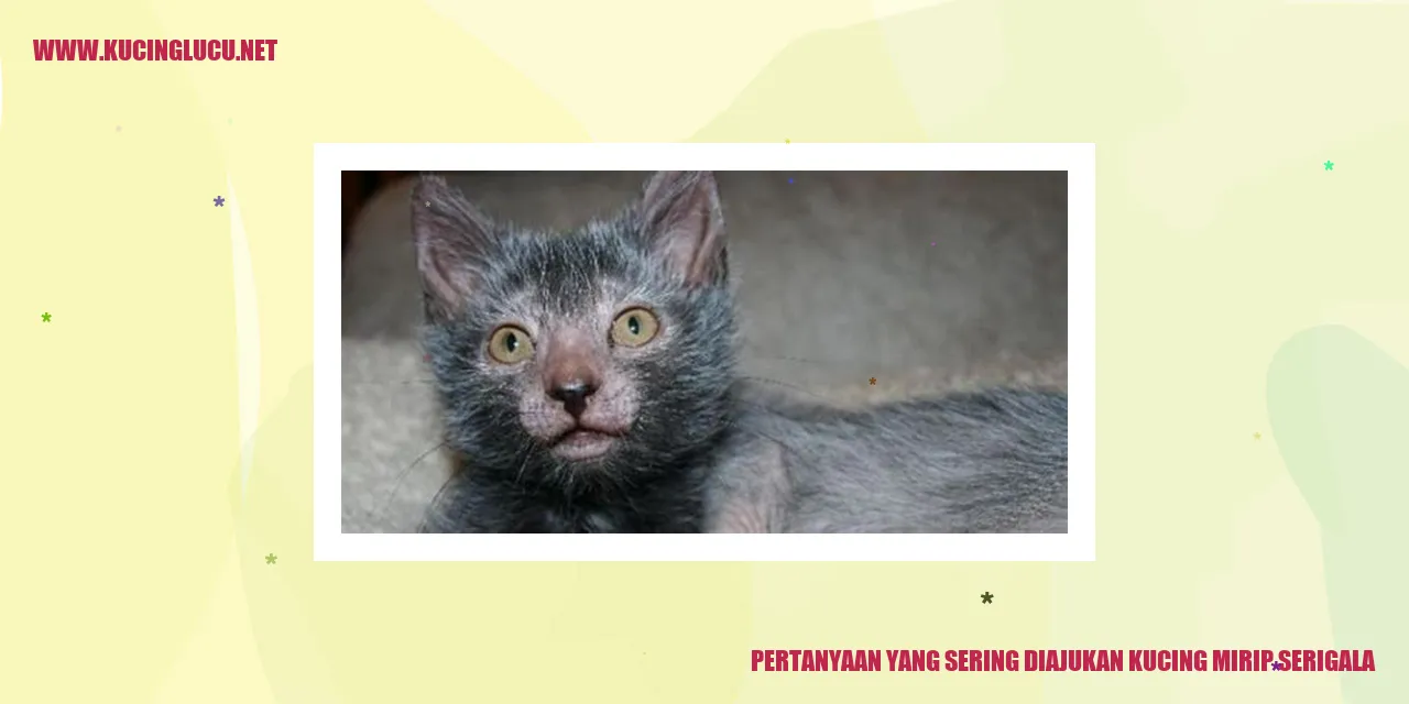 Kucing Mirip Serigala