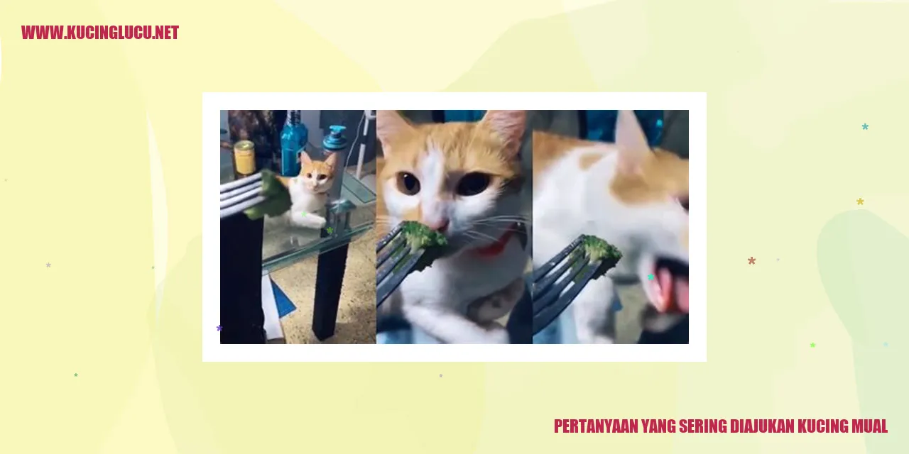 Ilustrasi Kucing Mual