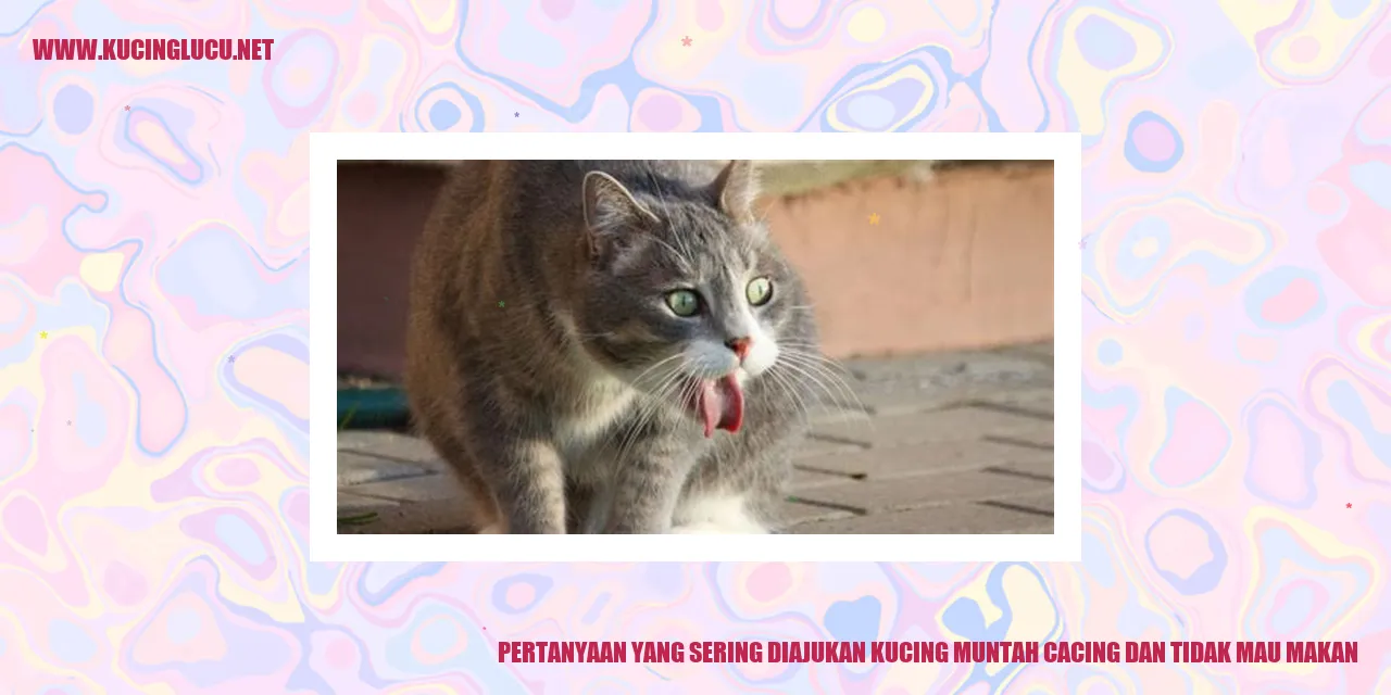 Gambar Kucing