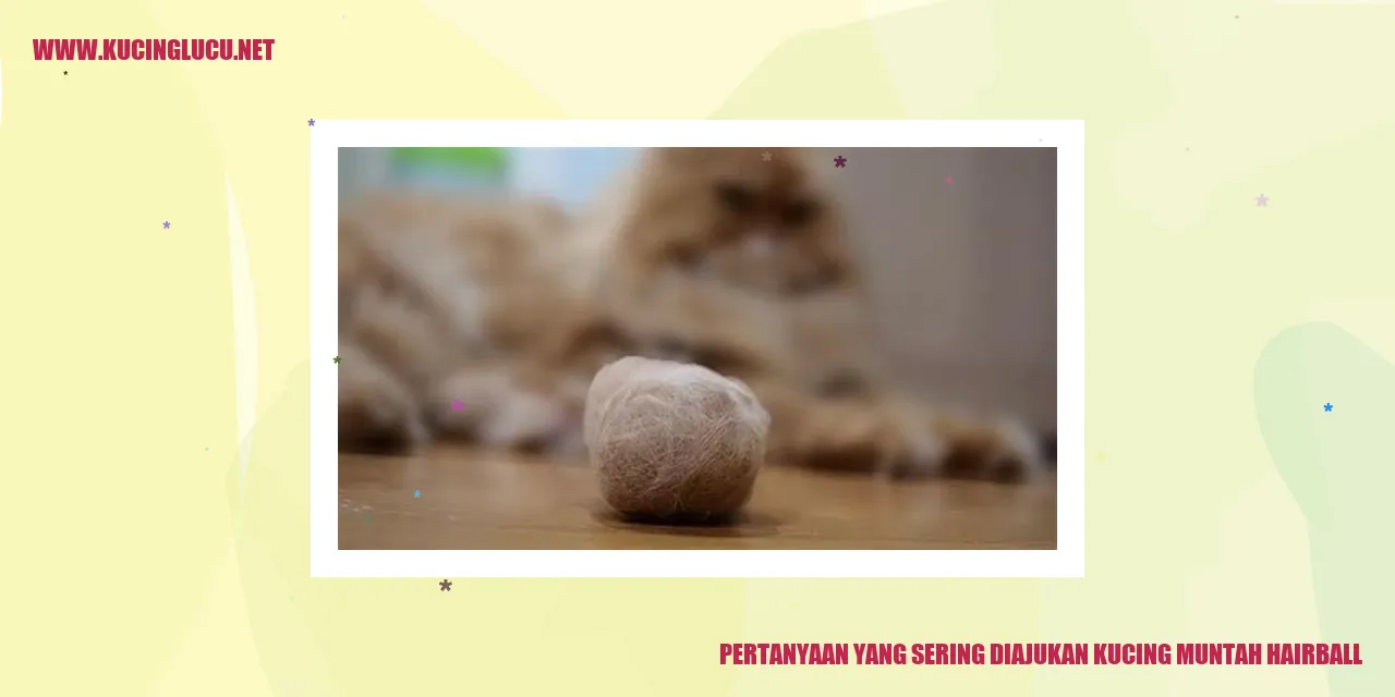Kucing muntah hairball