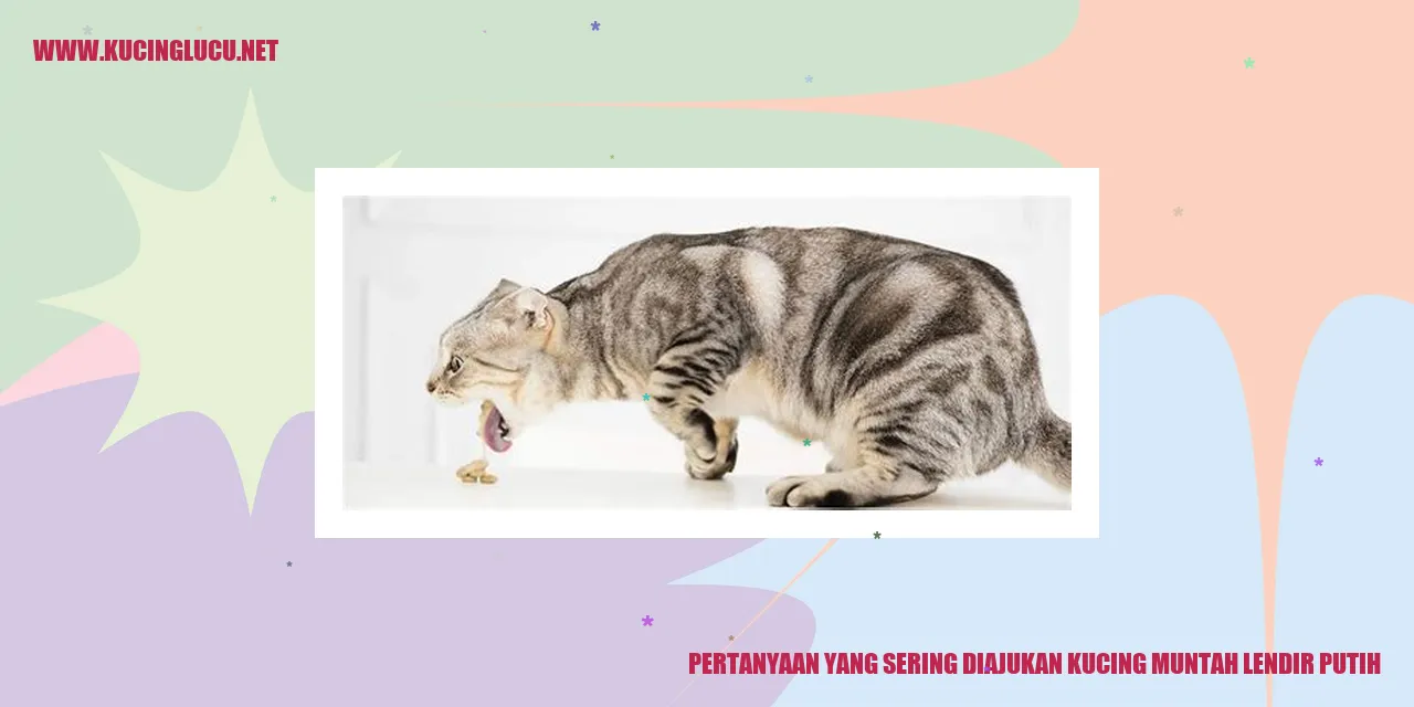 Kucing Muntah Lendir Putih