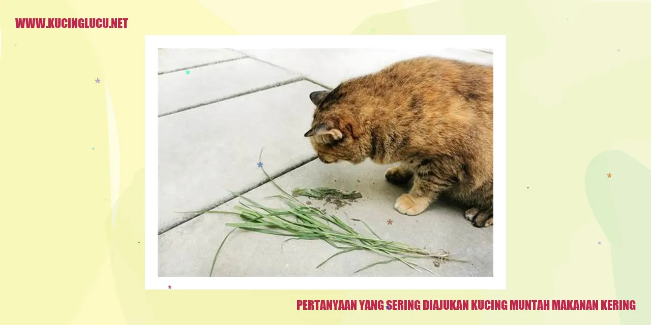 gambar kucing muntah makanan kering