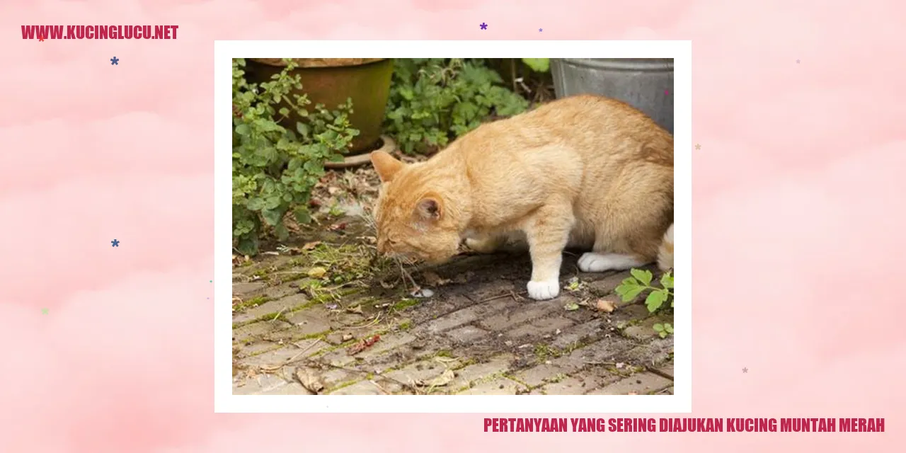 Kucing muntah merah