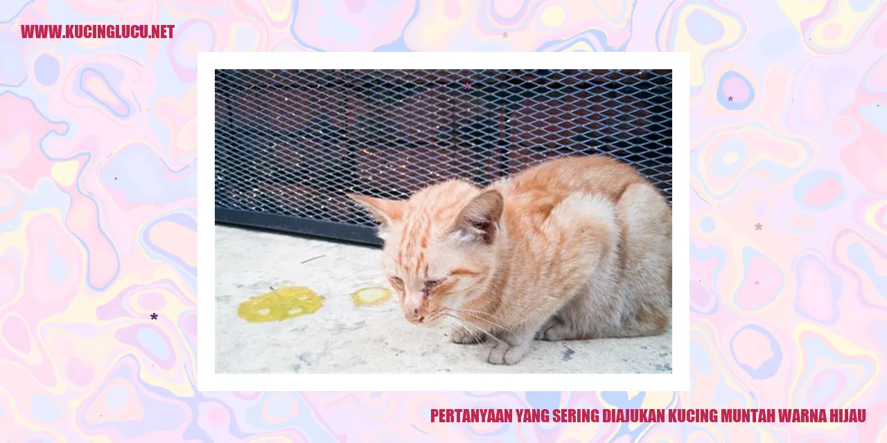 Pertanyaan yang Sering Diajukan mengenai Kucing Muntah Warna Hijau
