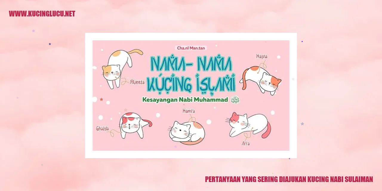 Gambar kucing Nabi Sulaiman