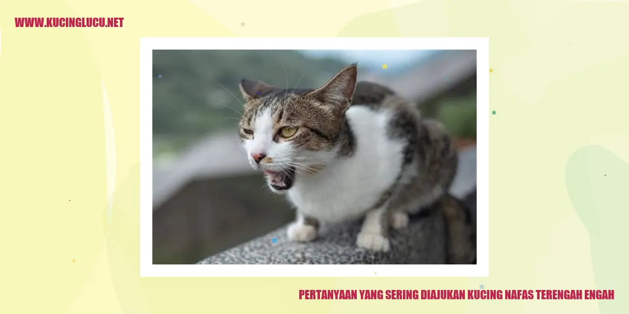 Kucing Bernafas Terengah-engah