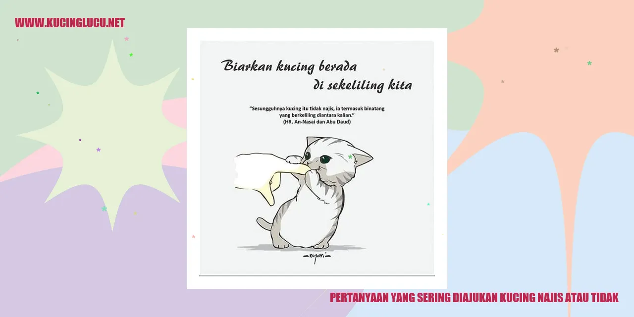 Pertanyaan yang Sering Ditanyakan: Apakah Kucing Kotor atau Tidak?