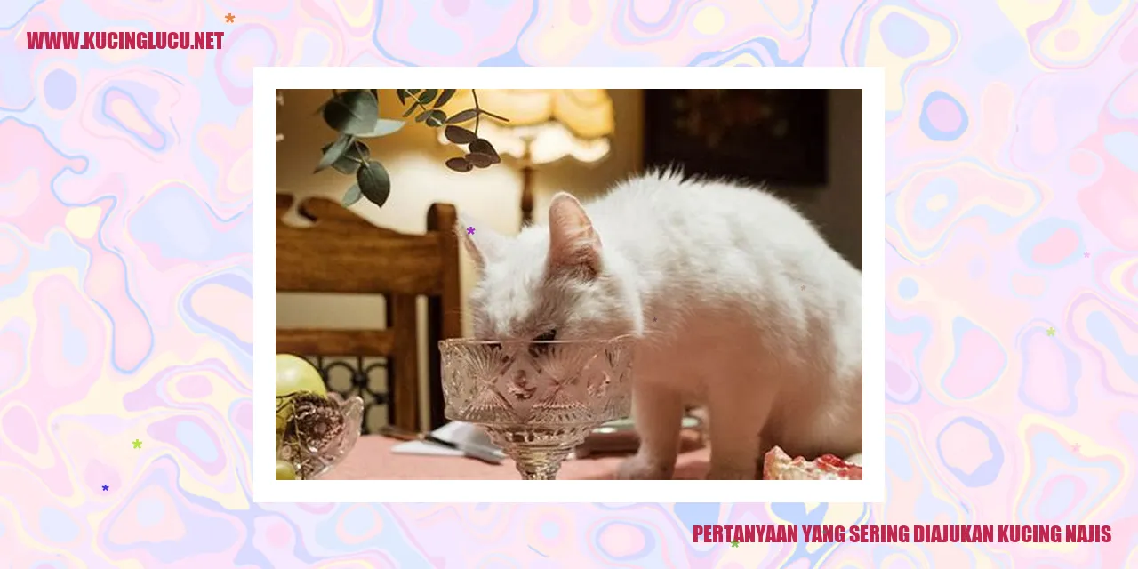 Kucing dan Kotorannya