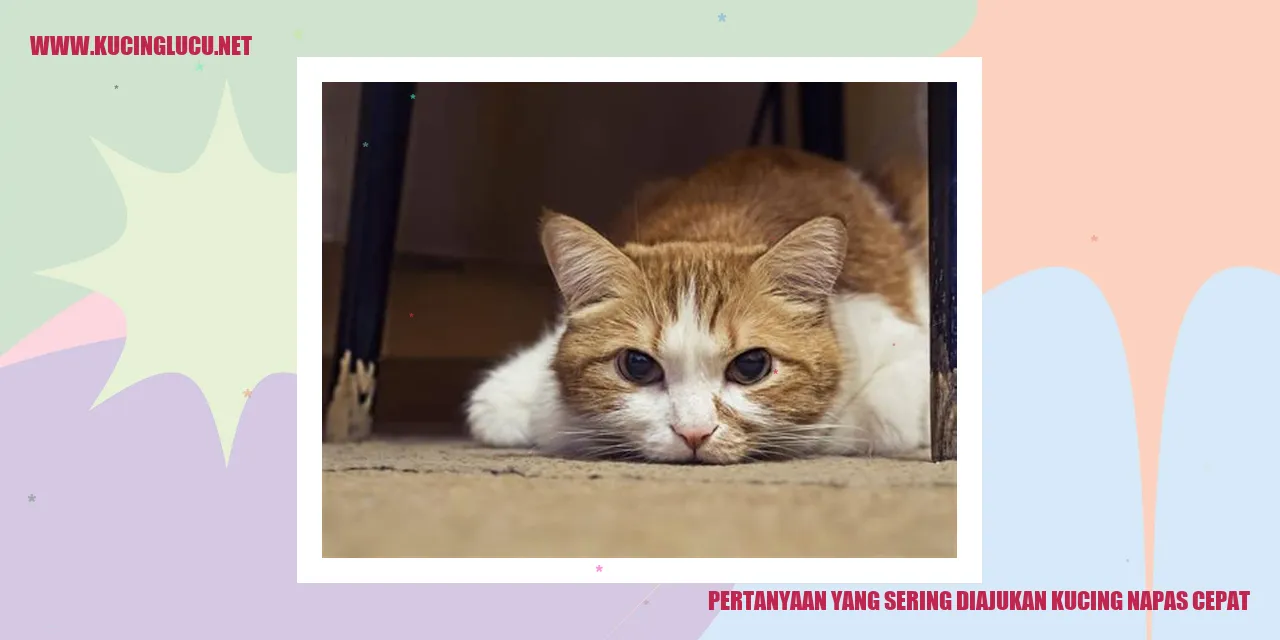 Kucing dengan Napas Cepat