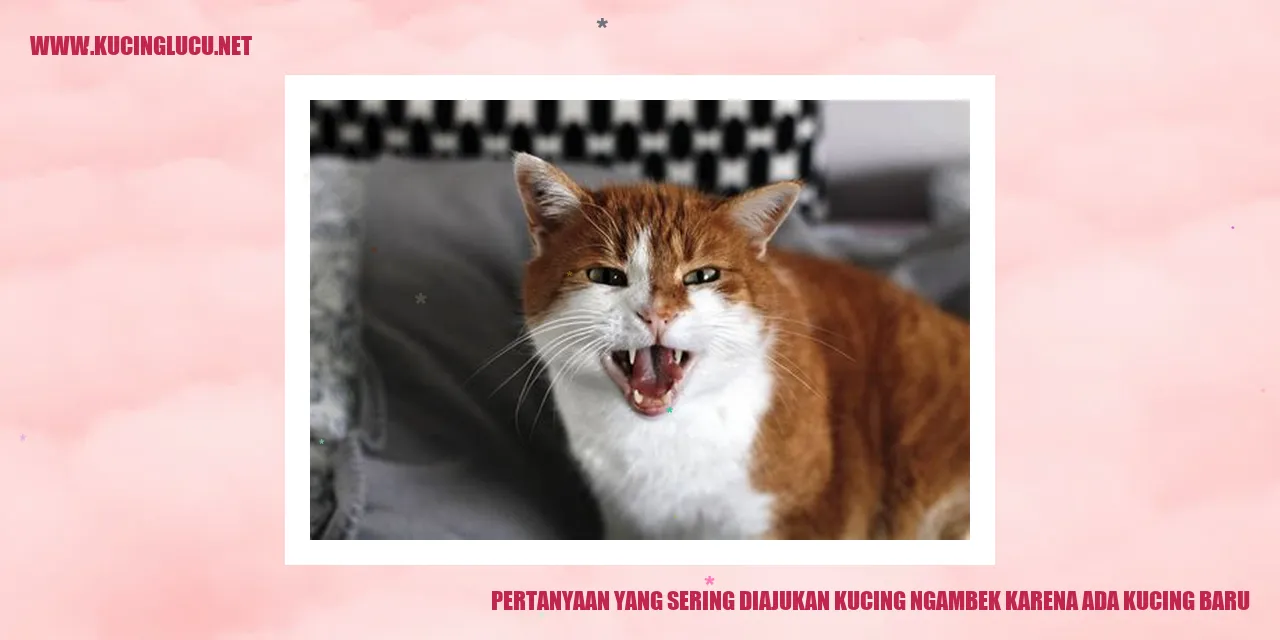 Gambar kucing ngambek