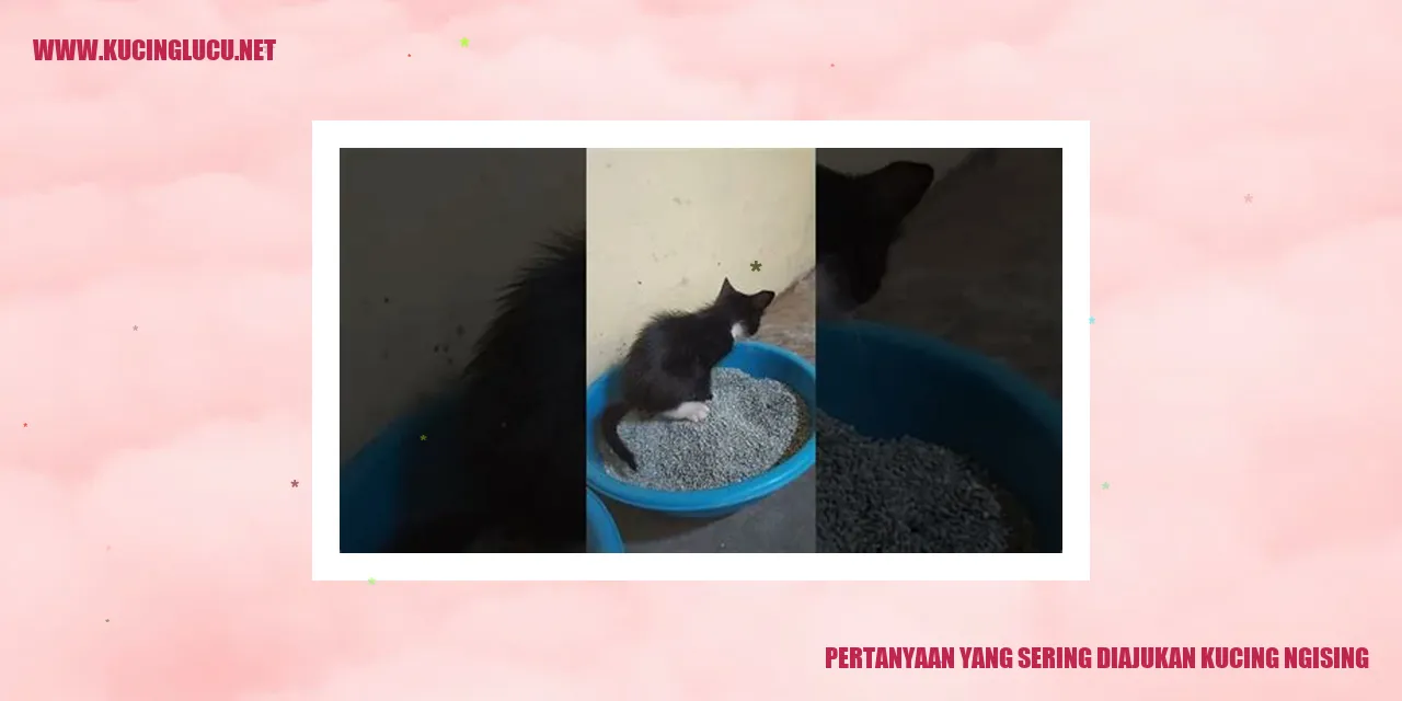 Gambar kucing yang sedang terbangun