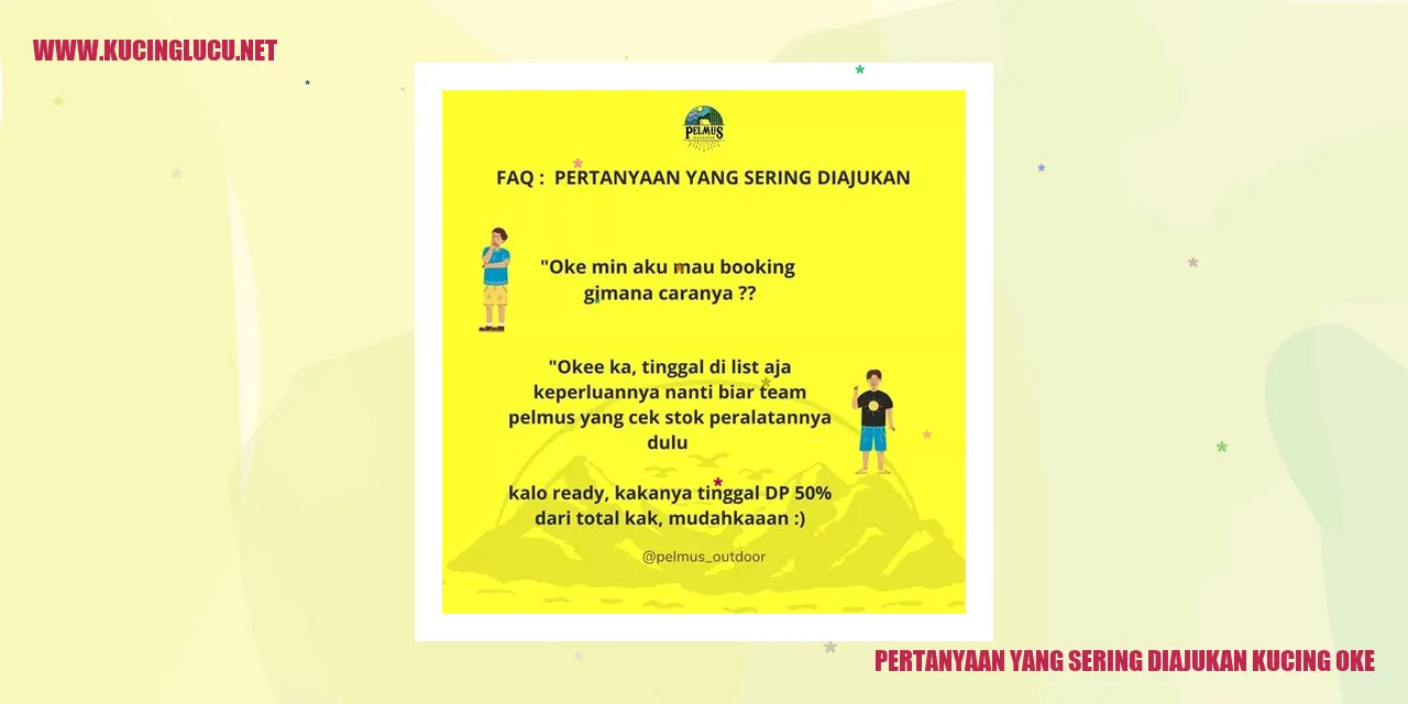 Kucing
