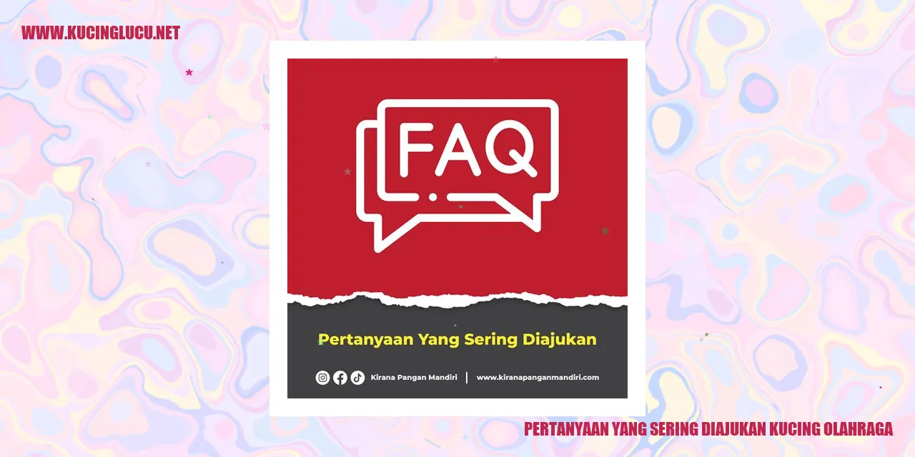 Pertanyaan yang Sering Diajukan kucing olahraga