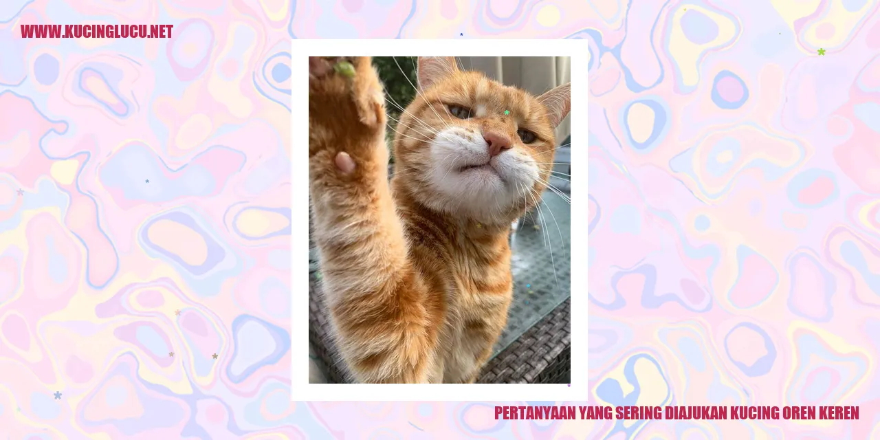 Kucing Oren yang Mengagumkan