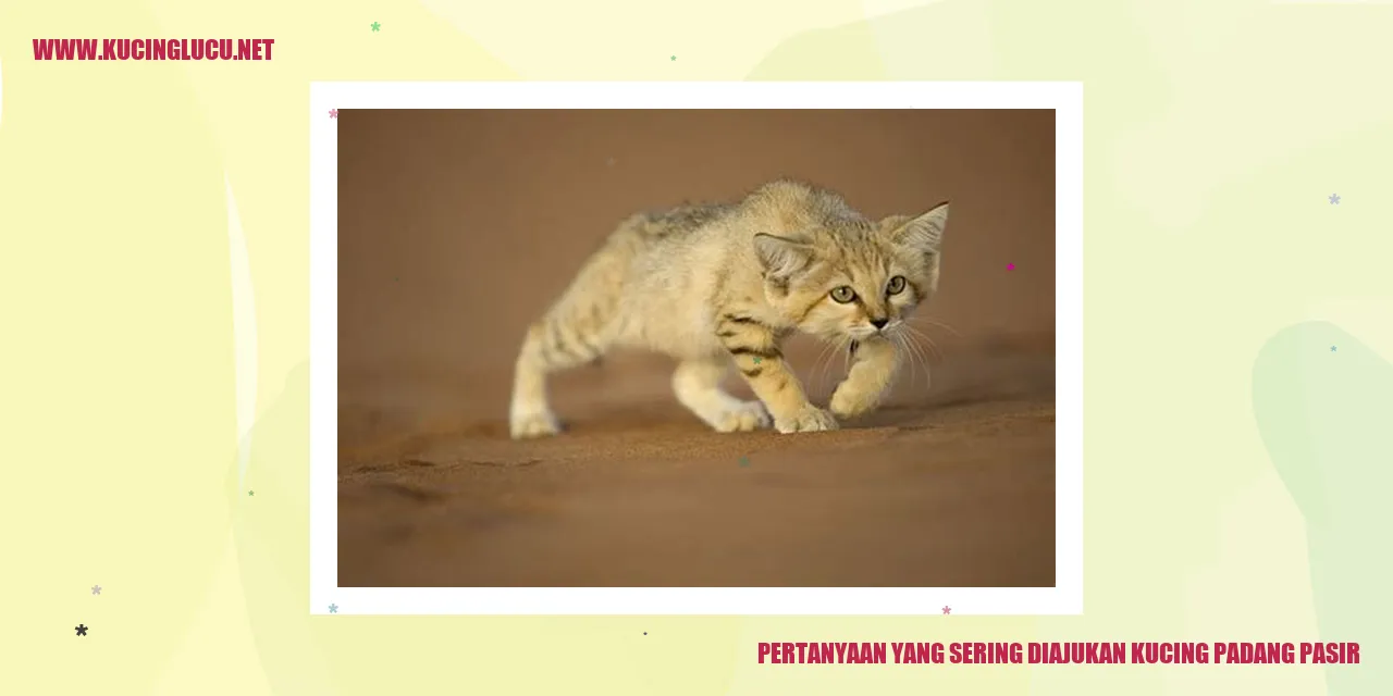 gambar kucing padang pasir