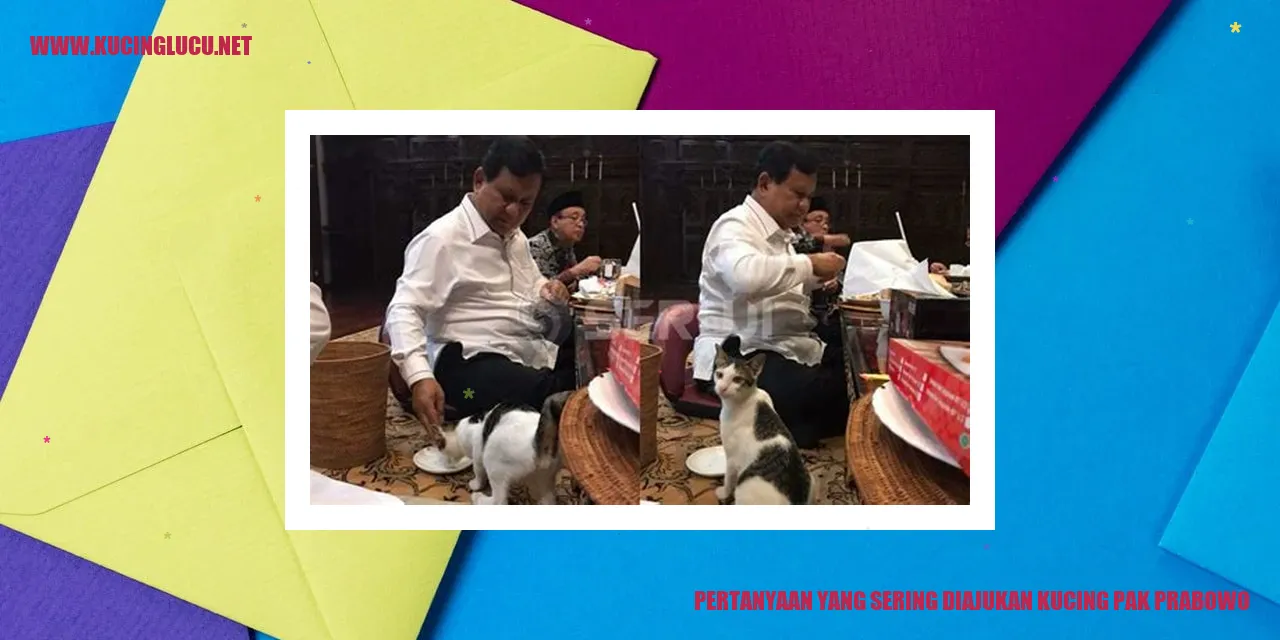 Foto Lucu Kucing Pak Prabowo