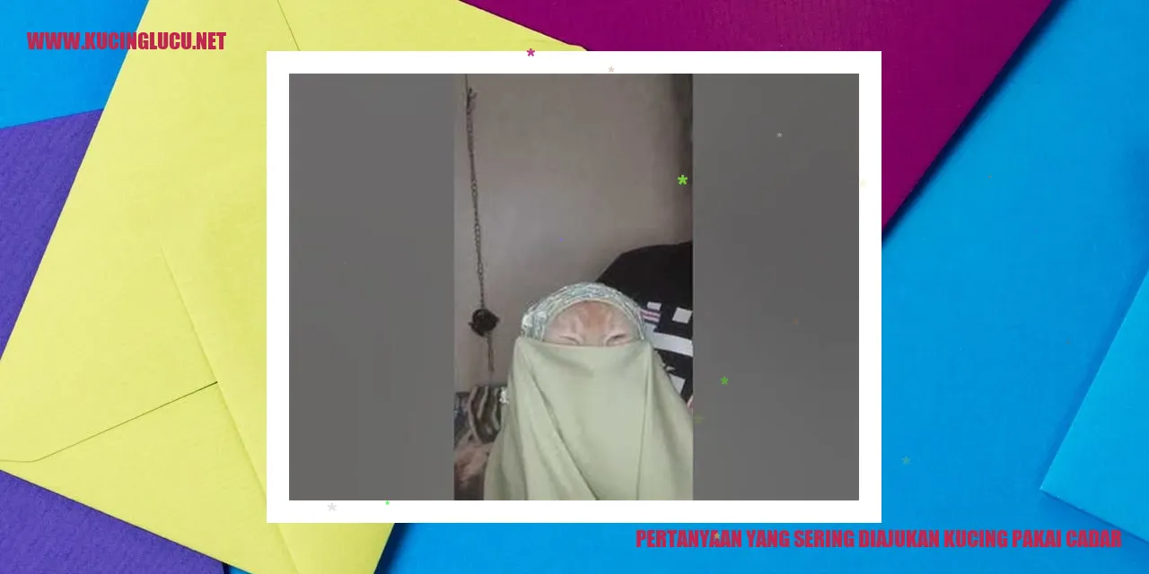 Kucing Menggunakan Cadar