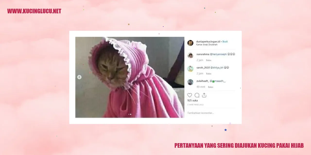 Kucing berhijab