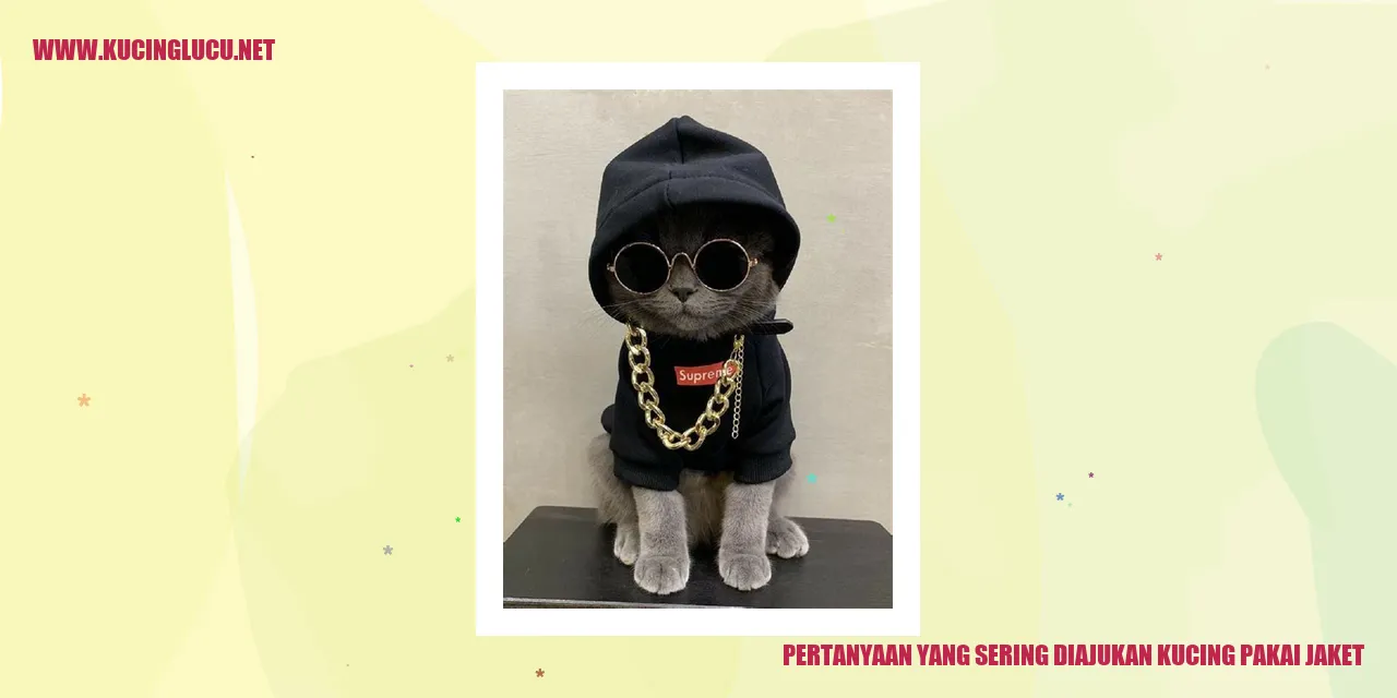 Kucing Pakai Jaket
