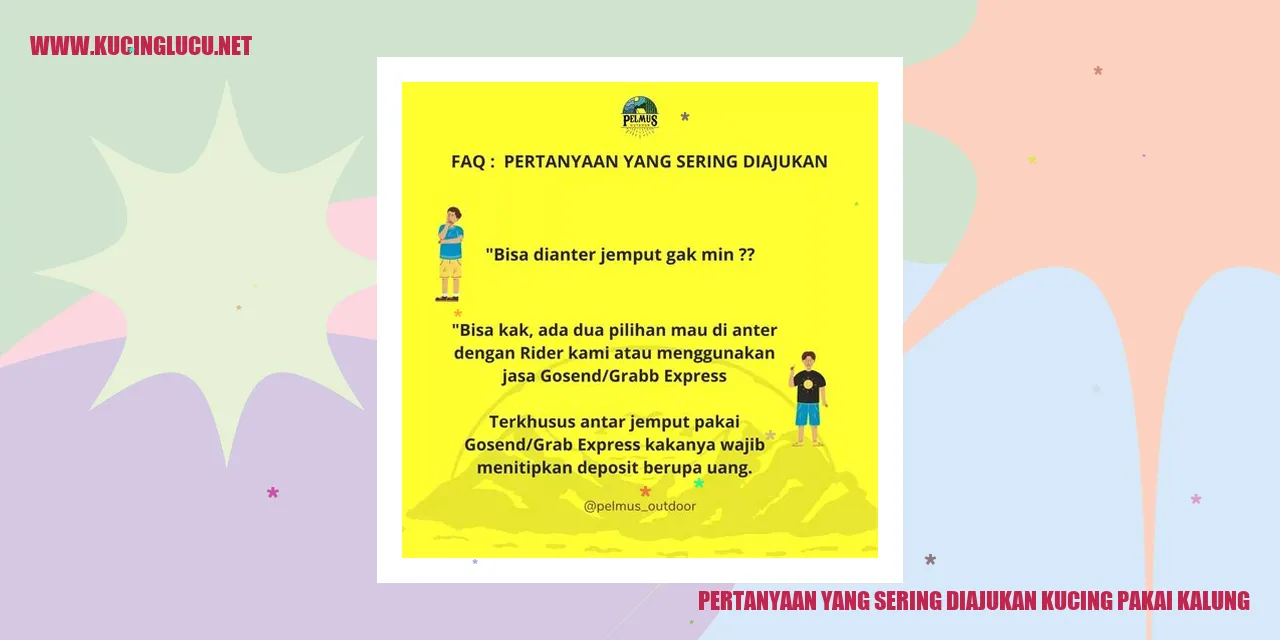 Foto Kucing Menggunakan Kalung