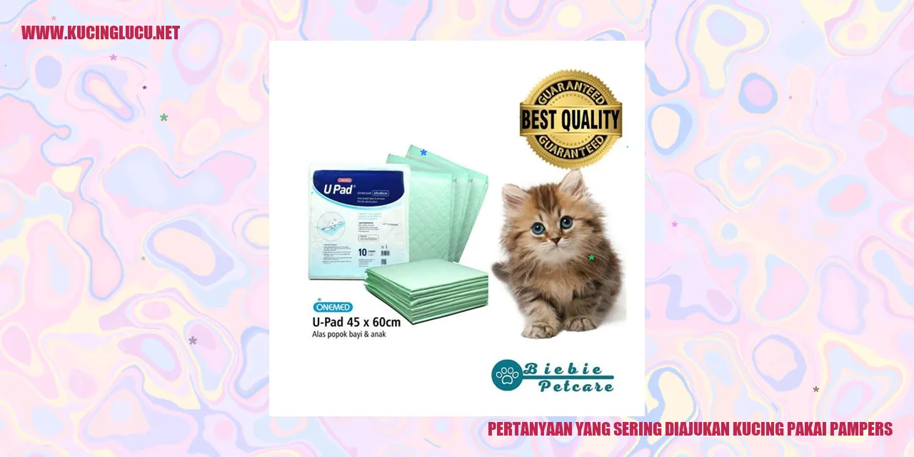Gambar kucing dengan pampers