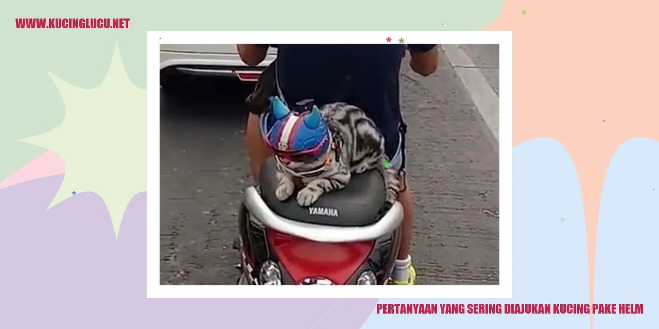 Pertanyaan yang Sering Diajukan kucing pake helm