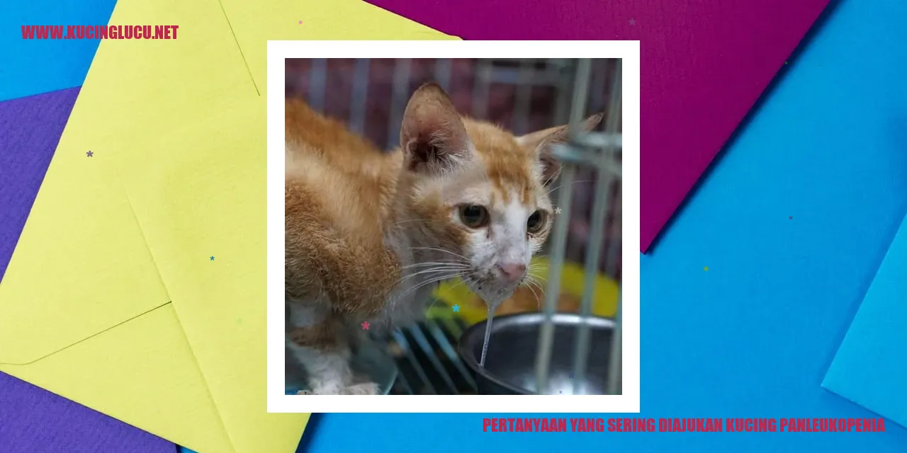 Pertanyaan yang Sering Diajukan tentang Kucing Panleukopenia
