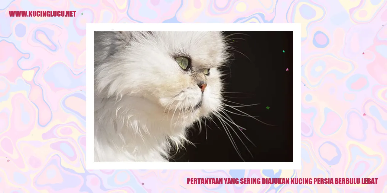 Kucing Persia Berbulu Lebat