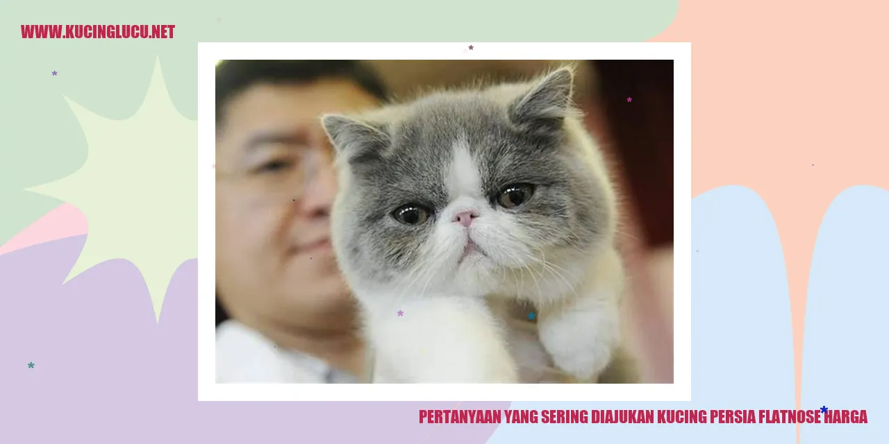 Pertanyaan yang Sering Diajukan kucing persia flatnose harga