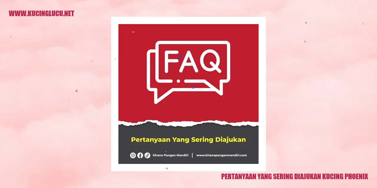 Pertanyaan yang Sering Diajukan tentang Kucing Phoenix